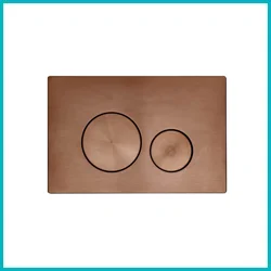 Bronze Flush Plates