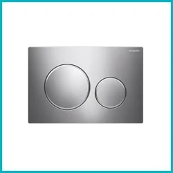 Chrome Flush Plates