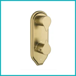 Shower Valves by Finish